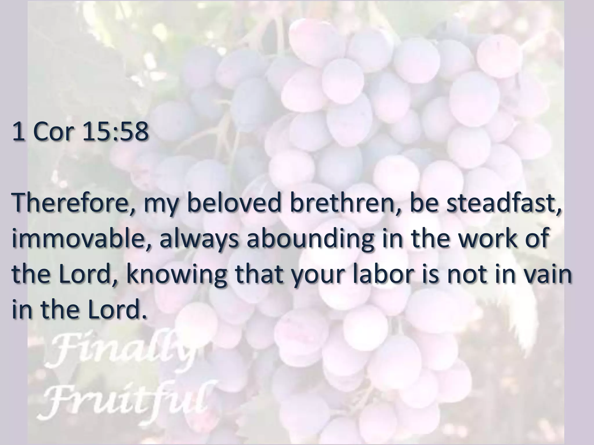 1 Cor 15:58
Therefore, my beloved brethren, be steadfast,
immovable, always abounding in the work of
the Lord, knowing that your labor is not in vain
in the Lord.
 