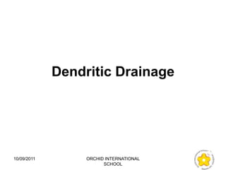 Dendritic Drainage




10/09/2011        ORCHID INTERNATIONAL
                        SCHOOL
 