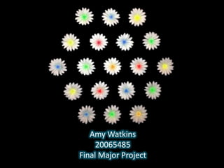 Amy Watkins
     20065485
Final Major Project
 