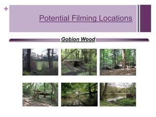 +
Potential Filming Locations
Gobion Wood
 