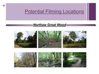 +
Potential Filming Locations
Northaw Great Wood
 