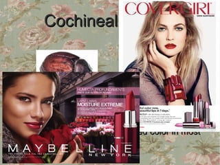 Cochineal beetles




  The beetles are soaked in hot water, dried &
then crushed to give the deep red color in most
                    lipsticks
 