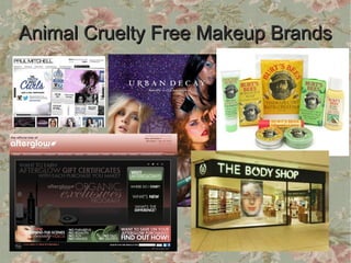Animal Cruelty Free Makeup Brands
 