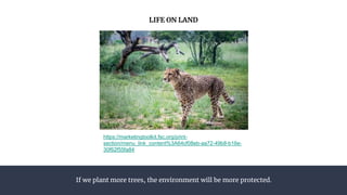 If we plant more trees, the environment will be more protected.
LIFE ON LAND
https://marketingtoolkit.fsc.org/print-
section/menu_link_content%3A64cf08eb-aa72-49b8-b16e-
30f62f55fa84
 
