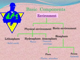 Man & Environment.ppt