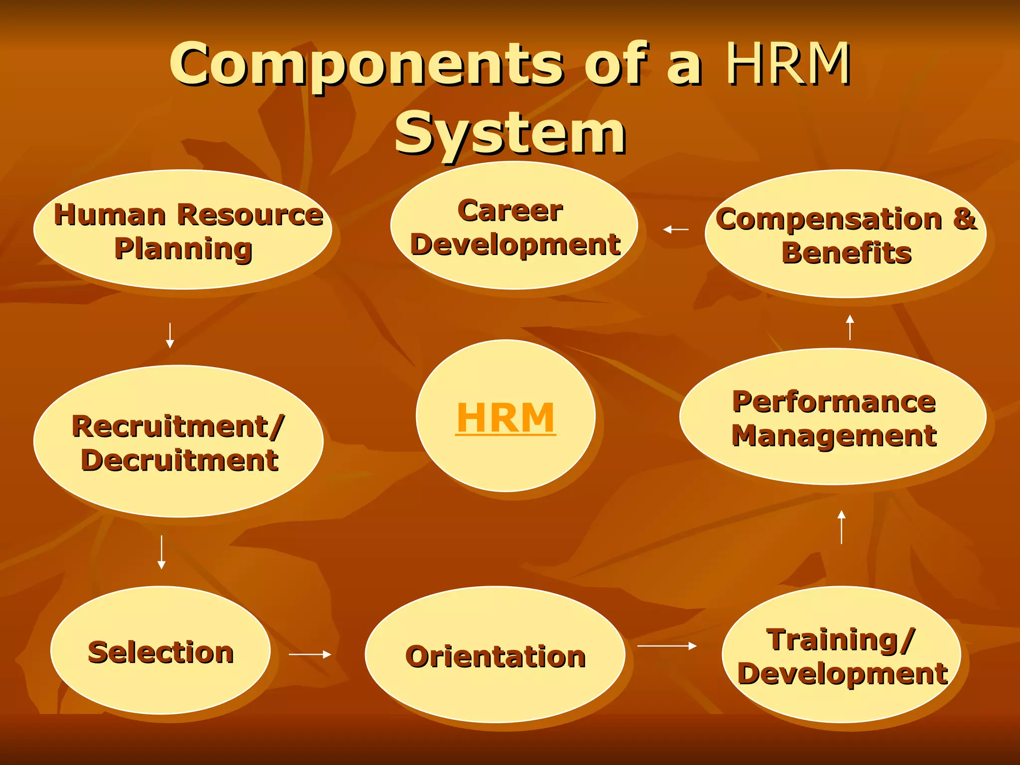 Components of a  HRM  System Recruitment/ Decruitment Training/ Development Compensation & Benefits Performance Management Human Resource  Planning Orientation Selection Career  Development HRM 