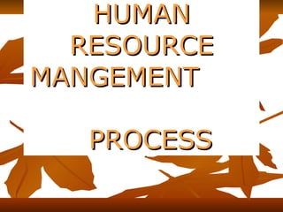 HUMAN RESOURCE MANGEMENT  PROCESS 