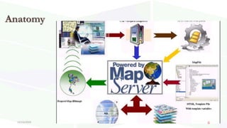 Anatomy
12/13/2019 6
 