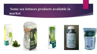 Some sea lettuces products available in
market
 