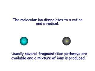 The molecular ion dissociates to a cation
and a radical.
+ •
Usually several fragmentation pathways are
available and a mixture of ions is produced.
 