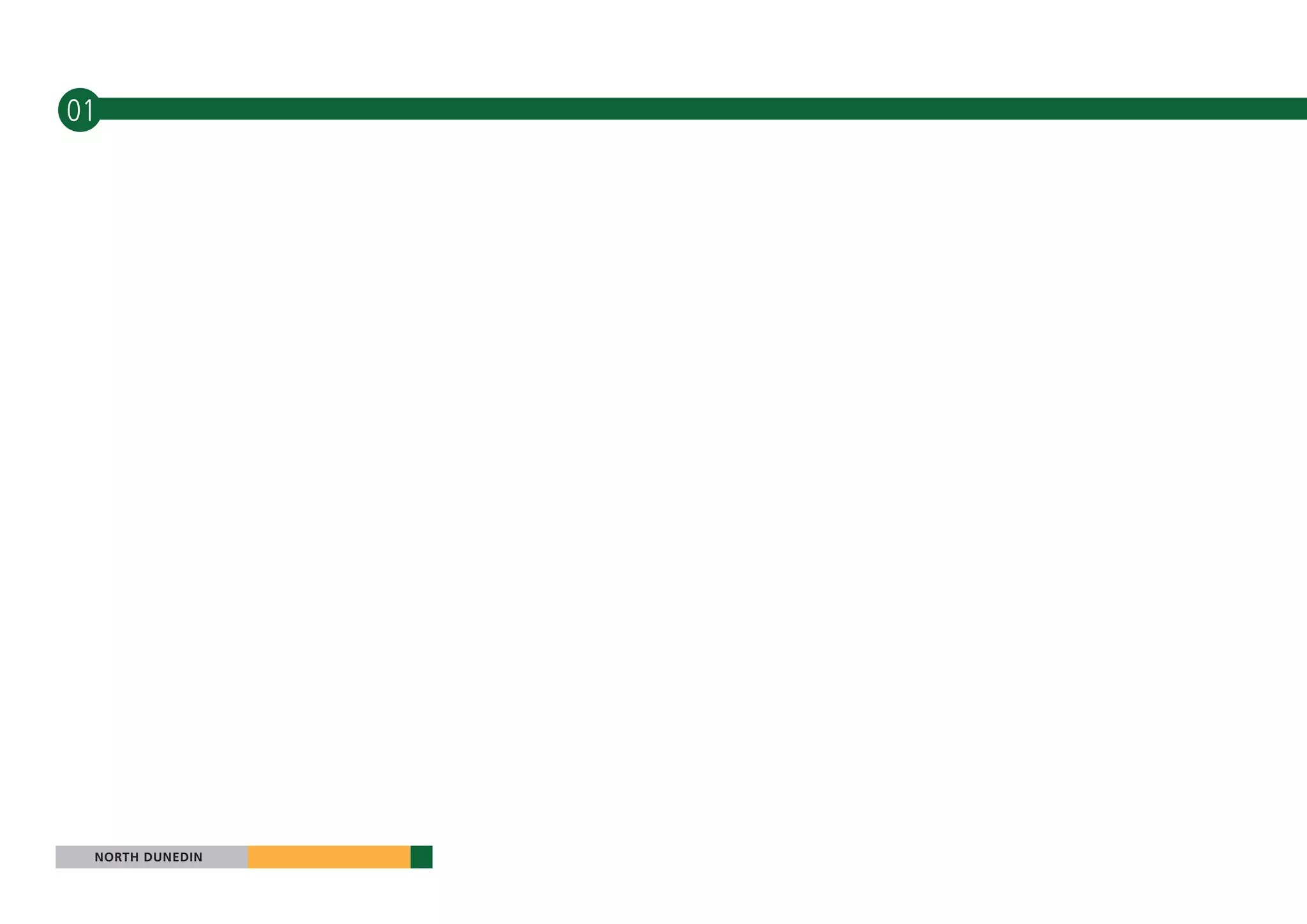 01




 NORTH DUNEDIN
 