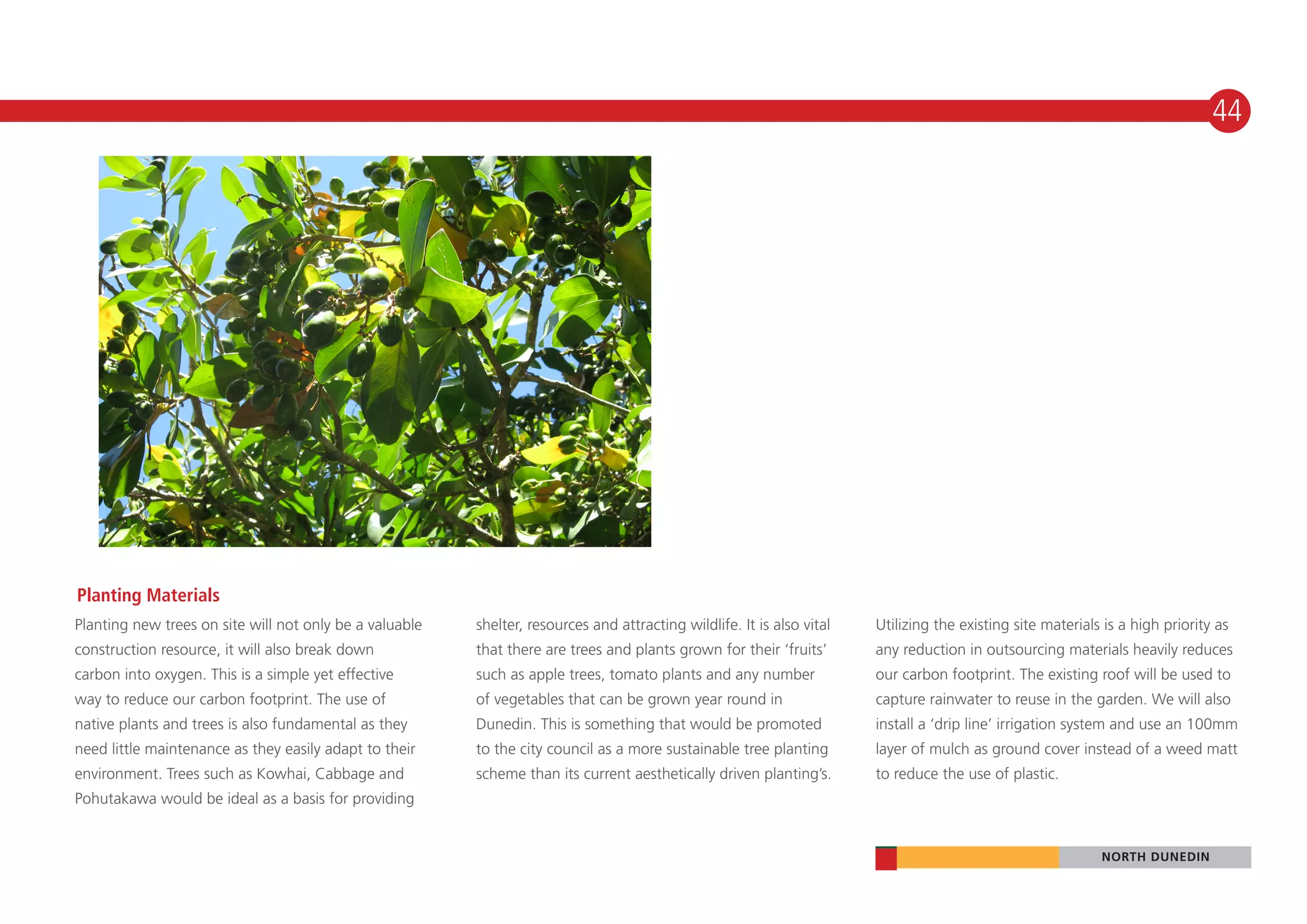 44




Planting Materials
Planting new trees on site will not only be a valuable   shelter, resources and attracting wildlife. It is also vital   Utilizing the existing site materials is a high priority as
construction resource, it will also break down           that there are trees and plants grown for their ‘fruits’       any reduction in outsourcing materials heavily reduces
carbon into oxygen. This is a simple yet effective       such as apple trees, tomato plants and any number              our carbon footprint. The existing roof will be used to
way to reduce our carbon footprint. The use of           of vegetables that can be grown year round in                  capture rainwater to reuse in the garden. We will also
native plants and trees is also fundamental as they      Dunedin. This is something that would be promoted              install a ‘drip line’ irrigation system and use an 100mm
need little maintenance as they easily adapt to their    to the city council as a more sustainable tree planting        layer of mulch as ground cover instead of a weed matt
environment. Trees such as Kowhai, Cabbage and           scheme than its current aesthetically driven planting’s.       to reduce the use of plastic.
Pohutakawa would be ideal as a basis for providing


                                                                                                                                                             NORTH DUNEDIN
 