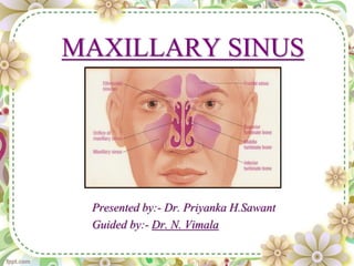 MAXILLARY SINUS
Presented by:- Dr. Priyanka H.Sawant
Guided by:- Dr. N. Vimala
 