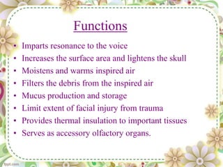 Functions
• Imparts resonance to the voice
• Increases the surface area and lightens the skull
• Moistens and warms inspired air
• Filters the debris from the inspired air
• Mucus production and storage
• Limit extent of facial injury from trauma
• Provides thermal insulation to important tissues
• Serves as accessory olfactory organs.
 