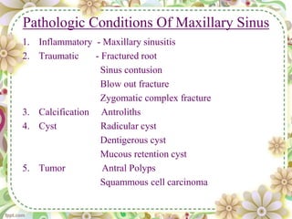 Pathologic Conditions Of Maxillary Sinus
1. Inflammatory - Maxillary sinusitis
2. Traumatic - Fractured root
Sinus contusion
Blow out fracture
Zygomatic complex fracture
3. Calcification Antroliths
4. Cyst Radicular cyst
Dentigerous cyst
Mucous retention cyst
5. Tumor Antral Polyps
Squammous cell carcinoma
 