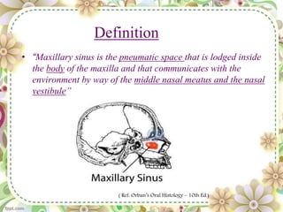 Definition
• “Maxillary sinus is the pneumatic space that is lodged inside
the body of the maxilla and that communicates with the
environment by way of the middle nasal meatus and the nasal
vestibule”
( Ref: Orban’s Oral Histology – 10th Ed.)
 