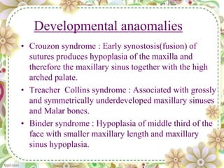 Developmental anaomalies
• Crouzon syndrome : Early synostosis(fusion) of
sutures produces hypoplasia of the maxilla and
therefore the maxillary sinus together with the high
arched palate.
• Treacher Collins syndrome : Associated with grossly
and symmetrically underdeveloped maxillary sinuses
and Malar bones.
• Binder syndrome : Hypoplasia of middle third of the
face with smaller maxillary length and maxillary
sinus hypoplasia.
 