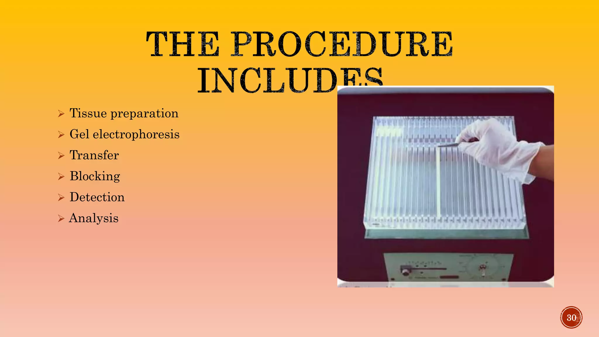 DNA SEQUENCING METHODS AND STRATEGIES FOR GENOME SEQUENCING | PPTX