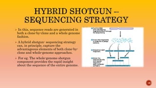 DNA SEQUENCING METHODS AND STRATEGIES FOR GENOME SEQUENCING | PPTX