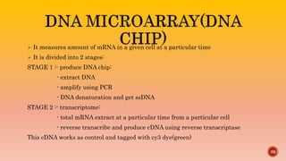 DNA SEQUENCING METHODS AND STRATEGIES FOR GENOME SEQUENCING | PPTX