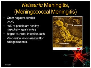 Neisseria Meningitis,
(Meningococcal Meningitis)
• Gram-negative aerobic
cocci,
• 10%of people arehealthy
nasopharyngeal carriers
• Beginsasthroat infection, rash
• Vaccination recommendedfor
college students.
9/5/2013 11
 