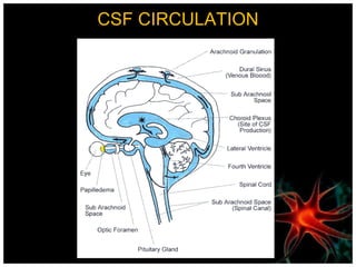 CSF CIRCULATION
 