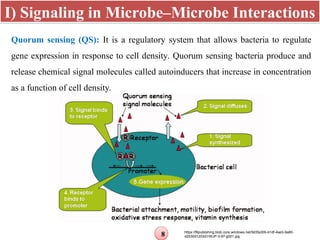 Microbial Signalling Microbial signals for the soil to plant interaction | PPT