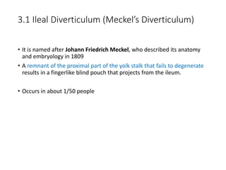 3.1 Ileal Diverticulum (Meckel’s Diverticulum)
• It is named after Johann Friedrich Meckel, who described its anatomy
and embryology in 1809
• A remnant of the proximal part of the yolk stalk that fails to degenerate
results in a fingerlike blind pouch that projects from the ileum.
• Occurs in about 1/50 people
 