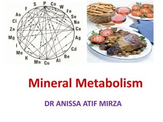 DR ANISSA ATIF MIRZA
Mineral Metabolism
 