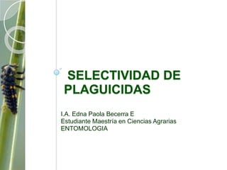 SELECTIVIDAD DE
 PLAGUICIDAS
I.A. Edna Paola Becerra E
Estudiante Maestría en Ciencias Agrarias
ENTOMOLOGIA
 