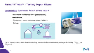 Pmax Filtration Normal Flow Filtration: Design and Scale Up | PDF