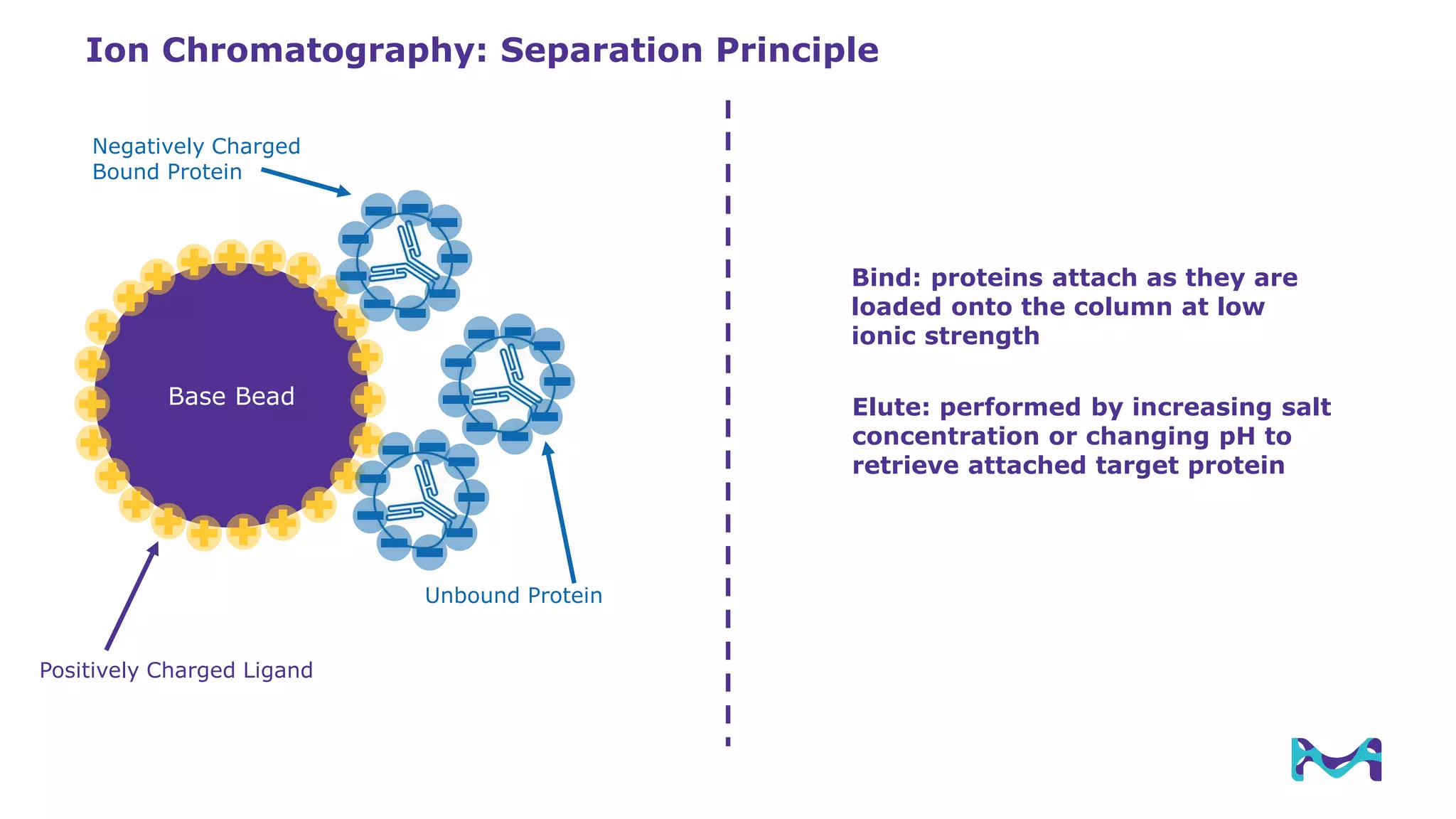 Process Scale Chromatography | PDF