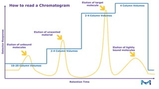 Process Scale Chromatography