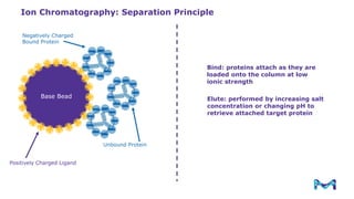 Process Scale Chromatography