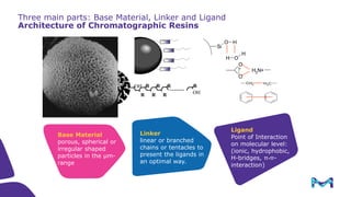 Process Scale Chromatography