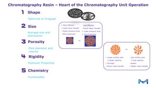 Process Scale Chromatography