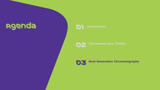 Process Scale Chromatography