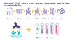 Process Scale Chromatography