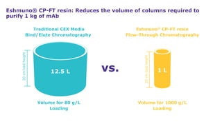 Process Scale Chromatography