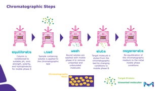 Process Scale Chromatography
