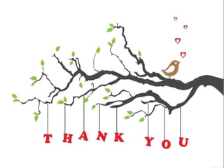 finalmodifiedbonehealing