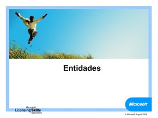 Entidades




            © Microsoft August 2003
 