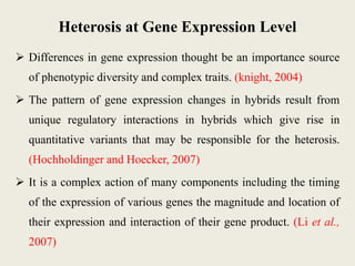 Molecular basis of inbreeding and heterosis in crop | PPTX