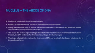 NUCLEUS – THE ABODE OF DNA
 Nucleus of human cell - 6 micrometer in length.
 Consists of nuclear envelope, nucleolus, nucleoplasm and chromosomes.
 During the interphase stage of mitosis, the chromosomes have to double the DNA molecules in them
and hence the chromosomal content increases.
 This causes the nuclear organelles to get disturbed and hence to maintain favorable conditions inside
the cells, the DNA contents of a chromosomes undergo structural changes.
 Thus to get adjusted in the nucleus the chromosomal DNA has to get coiled and super coiled and stay in
the condensed form .
June 17 100
 