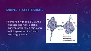 PAIRING OF NUCLEOSOMES
Combined with acidic DNA the
nucleosomes make a stable
nucleoprotein called chromatin
which appears as the ‘beads-
on-string’ pattern.
June 17 103
 
