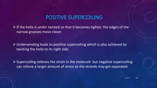 POSITIVE SUPERCOILING
If the helix is under twisted so that it becomes tighter, the edges of the
narrow grooves move closer.
Underwinding leads to positive supercoiling which is also achieved by
twisting the helix to its right side.
Supercoiling relieves the strain in the molecule but negative supercoiling
can relieve a larger amount of stress as the strands may get separated.
June 17 108
 