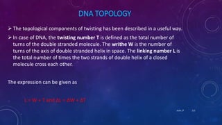 DNA TOPOLOGY
The topological components of twisting has been described in a useful way.
In case of DNA, the twisting number T is defined as the total number of
turns of the double stranded molecule. The writhe W is the number of
turns of the axis of double stranded helix in space. The linking number L is
the total number of times the two strands of double helix of a closed
molecule cross each other.
The expression can be given as
L = W + T and ∆L = ∆W + ∆T
June 17 111
 