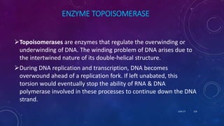 ENZYME TOPOISOMERASE
Topoisomerases are enzymes that regulate the overwinding or
underwinding of DNA. The winding problem of DNA arises due to
the intertwined nature of its double-helical structure.
During DNA replication and transcription, DNA becomes
overwound ahead of a replication fork. If left unabated, this
torsion would eventually stop the ability of RNA & DNA
polymerase involved in these processes to continue down the DNA
strand.
June 17 116
 