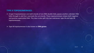 TYPE II TOPOISOMERASES :
 A type II topoisomerase cuts both strands of one DNA double helix, passes another unbroken DNA
helix through it, and then reanneals the cut strands. These topoisomerases relaxes both negative
and positive supercoiled DNA. This class is also split into two subclasses: type IIA and type IIB
topoisomerases.
 Type IIA topoisomerase is also known as DNA gyrase.
June 17 120
 