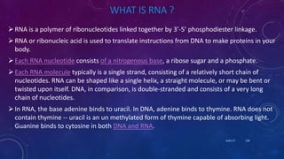 WHAT IS RNA ?
RNA is a polymer of ribonucleotides linked together by 3’-5’ phosphodiester linkage.
RNA or ribonucleic acid is used to translate instructions from DNA to make proteins in your
body.
Each RNA nucleotide consists of a nitrogenous base, a ribose sugar and a phosphate.
Each RNA molecule typically is a single strand, consisting of a relatively short chain of
nucleotides. RNA can be shaped like a single helix, a straight molecule, or may be bent or
twisted upon itself. DNA, in comparison, is double-stranded and consists of a very long
chain of nucleotides.
In RNA, the base adenine binds to uracil. In DNA, adenine binds to thymine. RNA does not
contain thymine -- uracil is an un methylated form of thymine capable of absorbing light.
Guanine binds to cytosine in both DNA and RNA.
June 17 134
 